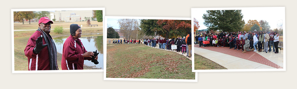 Bone Marrow Walk